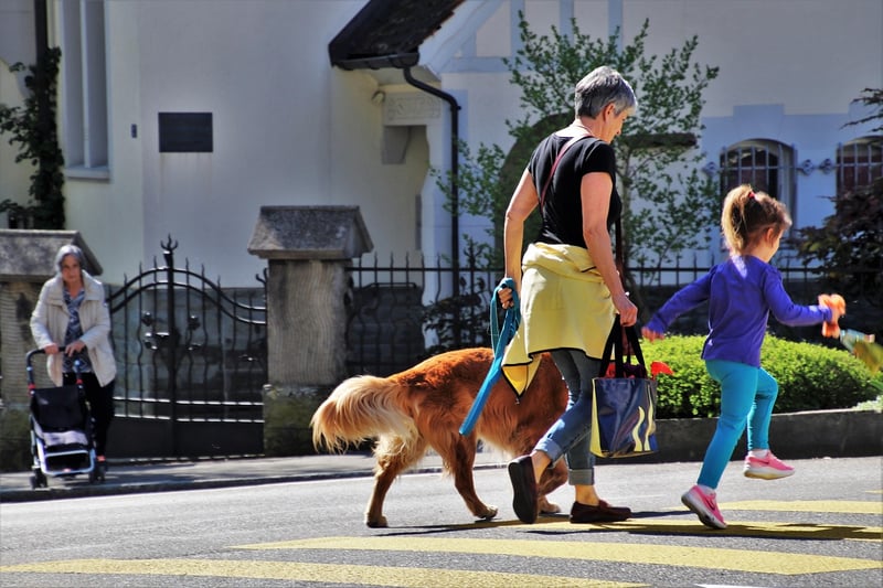 Urban Mindful Walking